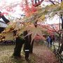 湯布院～別府　一泊二日