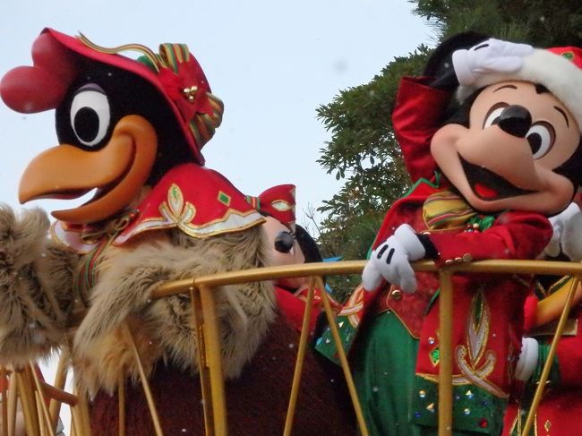 この鳥がミニーちゃんだったら・・・！！！