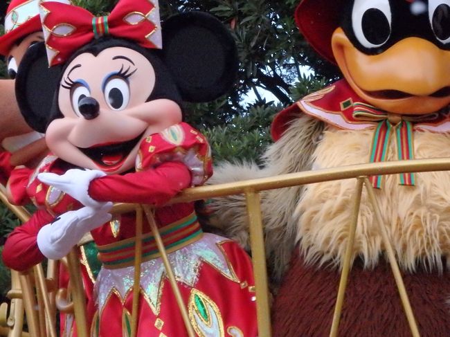 この鳥がミッキーだったら・・・！！！