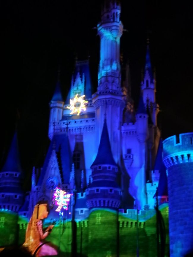 ラプンツェルはみたことないんですが、<br />みてみたいなーとおもいました。