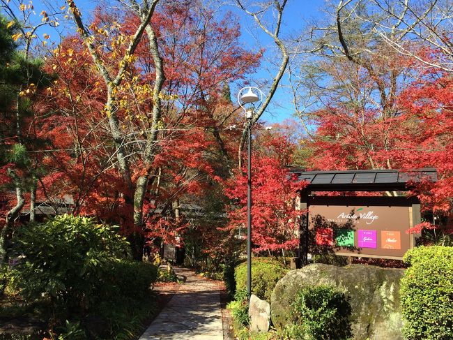 14 11 多治見で紅葉狩り 森のカフェ 虎渓山 多治見 岐阜県 の旅行記 ブログ By えるさん フォートラベル