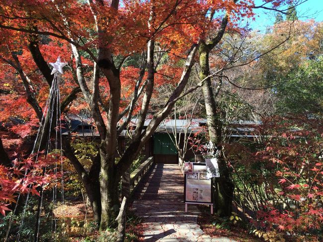 14 11 多治見で紅葉狩り 森のカフェ 虎渓山 多治見 岐阜県 の旅行記 ブログ By えるさん フォートラベル 14 11 多治見で紅葉狩り 森のカフェ 虎渓山 多治見 岐阜県 の旅行記 ブログ By えるさん フォートラベル