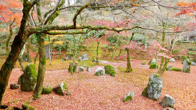 枯山水の庭園です。