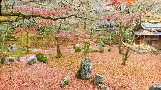 枯山水の庭園内の様子です。