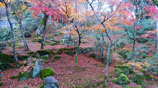 ここで、何故か急に体調急変状態に陥りました…。<br /><br />下腹部が急に痛くなって来て、直ぐにでもトイレに行かないと危ない状態になったのです。<br /><br />受付のおじさんに訊くと、ここにはトイレはないとの事で、この後、太宰府天満宮のトイレに駆け込んで、何とか事なきを得ました…。