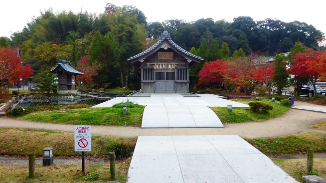 トイレに駆け込んだ後も、まだ危険な感じだった為、トイレ近く庭園付近に暫く留まる事にしました。