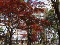 
近鉄奈良駅から、東大寺方面へ。