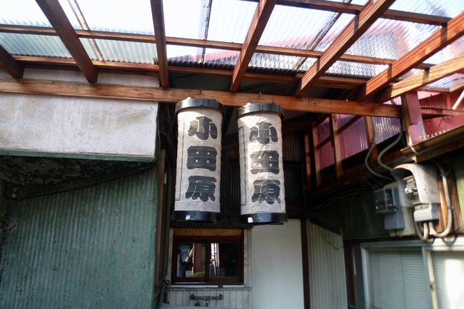 小田原提灯が入り口に。