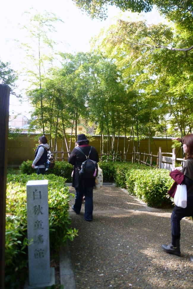 小田原文学館の敷地内に「白秋童謡館」も併設されていて、見学できます。<br />入り口の竹が綺麗でした。