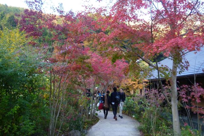 エントランスの紅葉が綺麗でした。