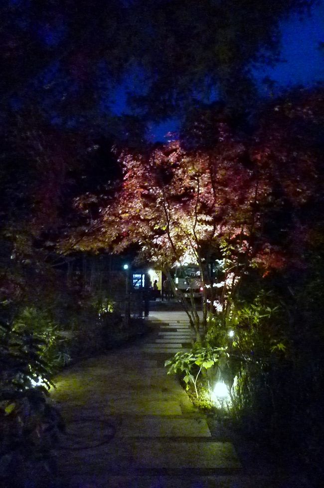 たっぷり3時間入り、外はすっかり暗くなりました。