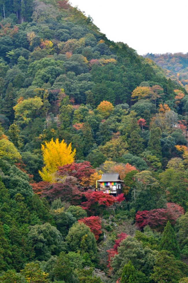 京都の紅葉 嵐山 天龍寺とはじめて行った大河内山荘 嵐山 嵯峨野 太秦 桂 京都 の旅行記 ブログ By Goodspeedさん フォートラベル