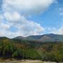 琵琶湖ぐるっと一周　～　紅葉ドライブ　～　１日目は。。。“マキノ高原のメタセコイヤ並木と鶏足寺に行ってきました～”