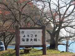 せっかくだから、“琵琶湖を見ながらドライブしよう〜”ということで。。。

海津大崎を走ります〜
