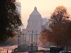 夕焼けの紅い光が霧に乱反射し、視界全体がぼんやりとピンク色。

霧の中に浮かぶ国会議事堂。
なんだか、日本の景色ではないみたい。
