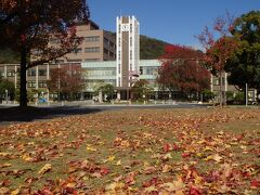 11月13日。時計台横のカイノキと、アメリカフウの落ち葉。
