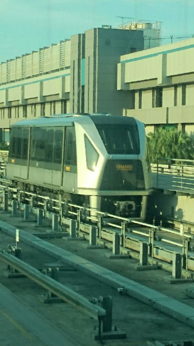 イミグレーションも混んでなく、すぐシンガポールへ入国出来ました。<br />MRTに乗るため空港で両替。<br />20,000円でSG$216.60でした。<br />JAL利用だったのでターミナル1に到着。<br />スカイトレインでターミナル3へ