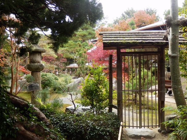 この記念館は大きく分けると庭園エリアと美術館エリアから構成されています。入口から進んでいくとまず庭園エリアから見学するのですが、この庭園は真ん中に大きな池が3つあり、その周りを歩いていきます。