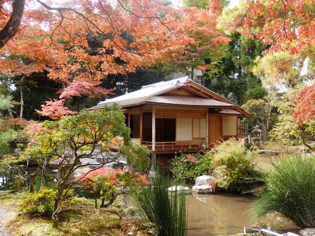 池の周りを歩いて行くと遠くに茶室が見えます。この内部は非公開なので、周りから見るだけです。ただ、完全に閉じているわけではないので、遠くからでも少しは覗くことができます。