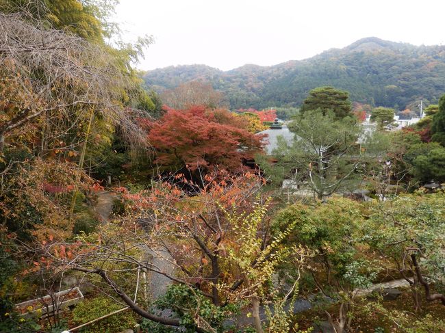 角度を変えると庭園エリアが全体的によく見えます。もちろん周りの風景を見れて季節の移ろいを堪能することができます。ここにオープンカフェでもすればいいのになあと思った今日この頃です。