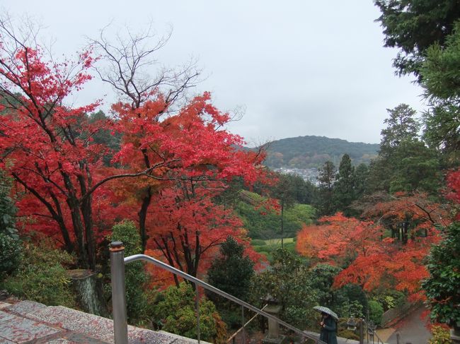 三室戸寺の紅葉１