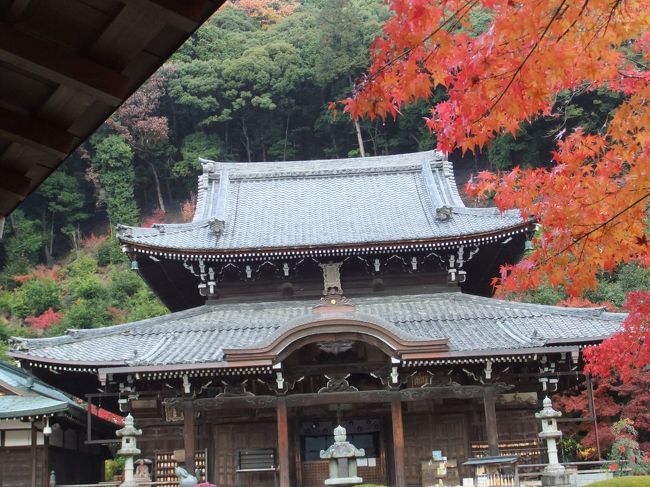 三室戸寺の紅葉２