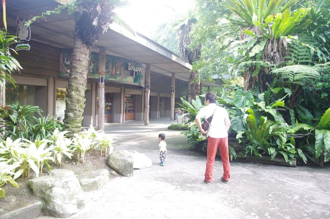 前日は、街歩きでほぼベビーカーに乗っていて日中寝てばかりで夜なかなか寝てくれなかったので今日はいっぱい歩かせることにしました。動物園のチケットはネットから事前に購入すると5%引きになるそうですが、今回の旅行は弾丸で子供の体調もどうなるか分からなかったので直接動物園で購入しました。<br />朝食も予約せずそこで食べれたらいいねという感じで行きました。