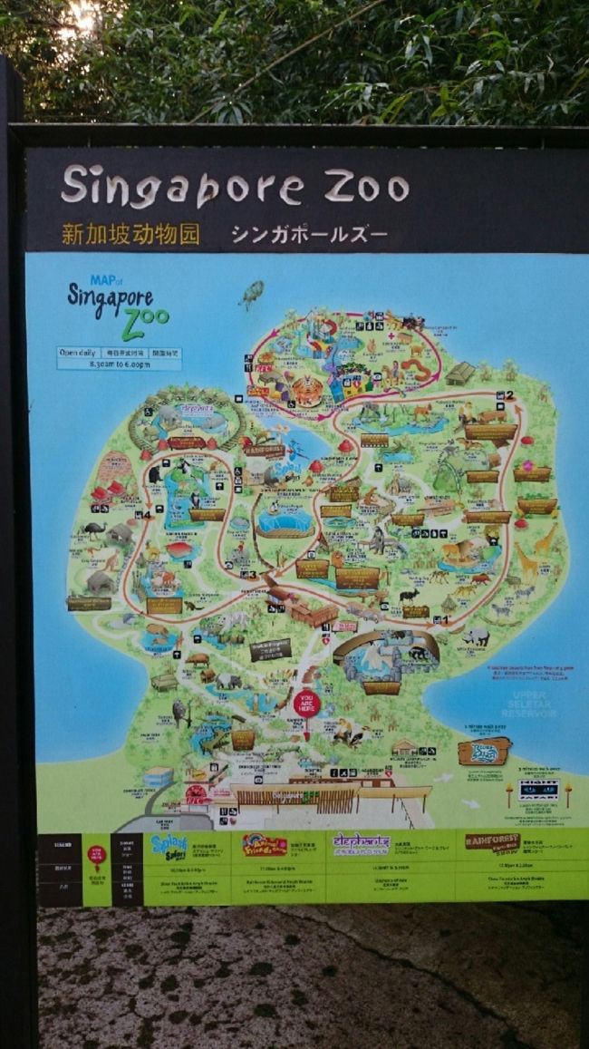 所々にある地図。<br />色々な道があり動物を見ながら回ると自分達がどこにいるのか分からなくなったので現在地を知るのに便利でした。