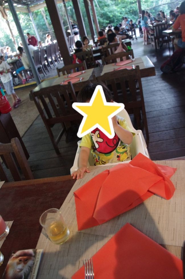 アーメンレストランへ到着。<br />朝イチで動物園にきた人ほとんどこのレストランを目指してました。<br />予約をすればオランウータンが来てくれる近くに座れるみたいでしたが、オランウータンが来ると近くで一緒に写真が撮れるので場所は遠くても問題ありませんでした。<br />予約してなくてもすんなり入れました。<br />大人ひとりSG$33でした。<br />料理も飲み物も種類が多くて昼は食べなくてもいいようにいっぱい食べました。<br />料理も結構美味しかったです♪