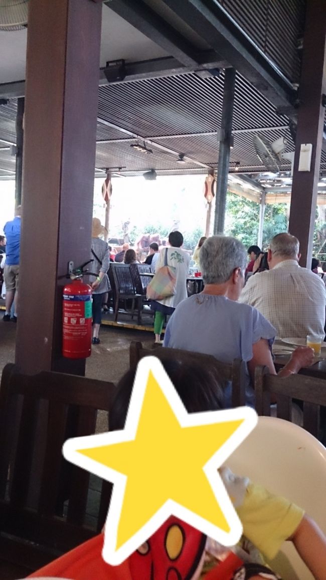 9:30頃になるとオランウータンがやって来ました。<br />この時間になると団体のお客さんが沢山やって来て、ほとんど席が埋まってました。