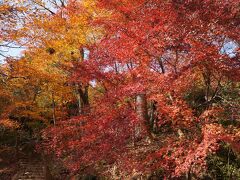 石道寺からさらに鶏足寺(旧飯福寺)へ向け石段を上がっていきます。