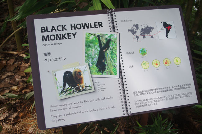 日本語の説明もあって分かりやすかったです♪