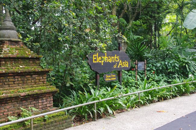 おさるの後は象のショーへと向かいました。