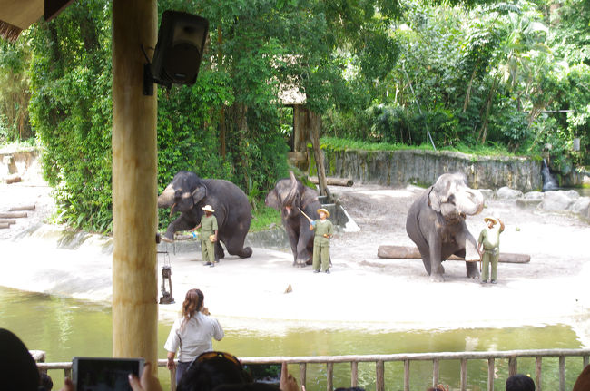 象のショーが一番人気で座れませんでした。<br />動物園の中で一番の人の多さでした。