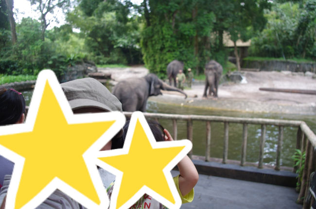 ショーの後は象に餌もあげられるようでしたが人が多くて断念。<br />近くで写真だけ撮りました。<br /><br />動物園長くなりそうなので③へ続く