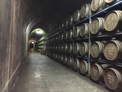 トンネルの駅　　お酒の貯蔵に最適の場所だそうです。焼酎の試飲コーナーが〜
\(^^)／運転手の方々ごめんなさい