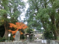 10：32

立派な楠が何本もある藤白神社。