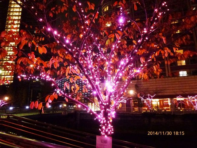 2 目黒川 ピンクのイルミネーション 冬の桜 目黒川みんなのイルミネーション14 大崎 五反田 東京 の旅行記 ブログ By Jh2fxvさん フォートラベル 2 目黒川 ピンクのイルミネーション 冬の桜 目黒川みんなのイルミネーション14 大崎 五反田 東京 の旅行記 ブログ By Jh2fxvさん フォートラベル