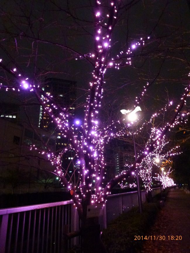 2 目黒川 ピンクのイルミネーション 冬の桜 目黒川みんなのイルミネーション14 大崎 五反田 東京 の旅行記 ブログ By Jh2fxvさん フォートラベル 2 目黒川 ピンクのイルミネーション 冬の桜 目黒川みんなのイルミネーション14 大崎 五反田 東京 の旅行記 ブログ By Jh2fxvさん フォートラベル