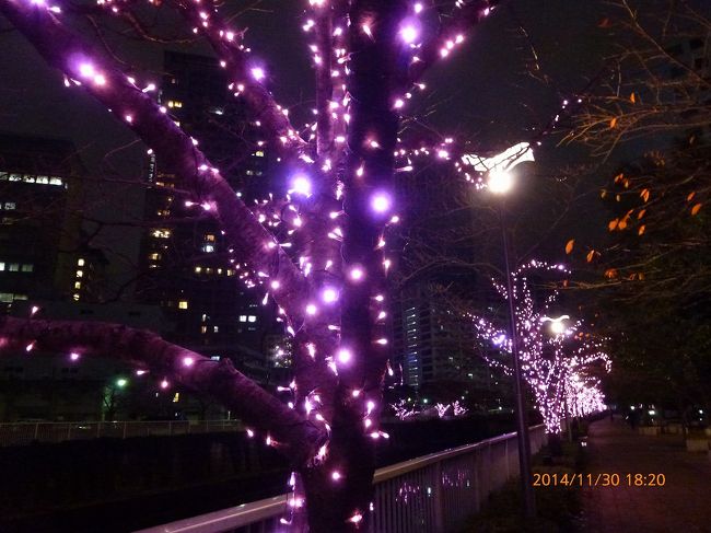 2 目黒川 ピンクのイルミネーション 冬の桜 目黒川みんなのイルミネーション14 大崎 五反田 東京 の旅行記 ブログ By Jh2fxvさん フォートラベル 2 目黒川 ピンクのイルミネーション 冬の桜 目黒川みんなのイルミネーション14 大崎 五反田 東京 の旅行記 ブログ By Jh2fxvさん フォートラベル