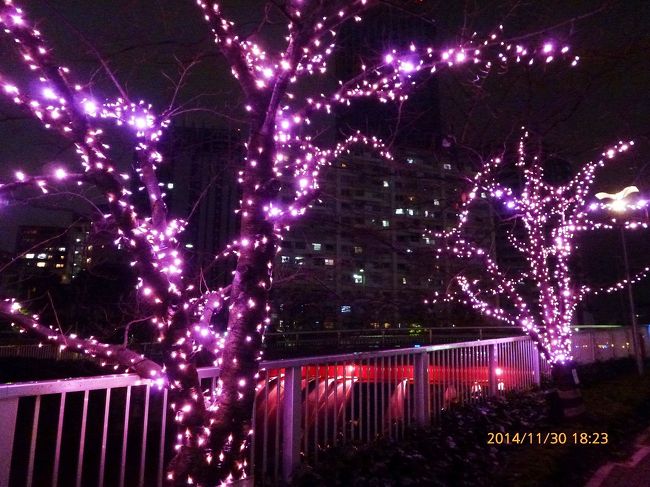 2 目黒川 ピンクのイルミネーション 冬の桜 目黒川みんなのイルミネーション14 大崎 五反田 東京 の旅行記 ブログ By Jh2fxvさん フォートラベル 2 目黒川 ピンクのイルミネーション 冬の桜 目黒川みんなのイルミネーション14 大崎 五反田 東京 の旅行記 ブログ By Jh2fxvさん フォートラベル