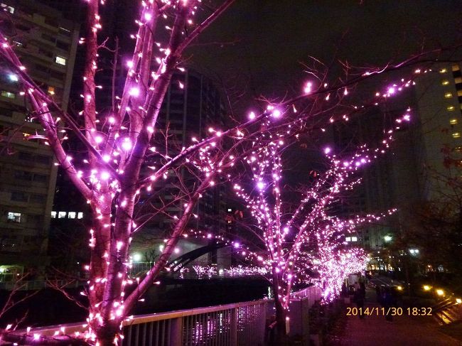 2 目黒川 ピンクのイルミネーション 冬の桜 目黒川みんなのイルミネーション14 大崎 五反田 東京 の旅行記 ブログ By Jh2fxvさん フォートラベル