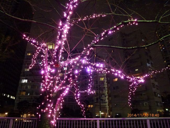 2 目黒川 ピンクのイルミネーション 冬の桜 目黒川みんなのイルミネーション14 大崎 五反田 東京 の旅行記 ブログ By Jh2fxvさん フォートラベル 2 目黒川 ピンクのイルミネーション 冬の桜 目黒川みんなのイルミネーション14 大崎 五反田 東京 の旅行記 ブログ By Jh2fxvさん フォートラベル