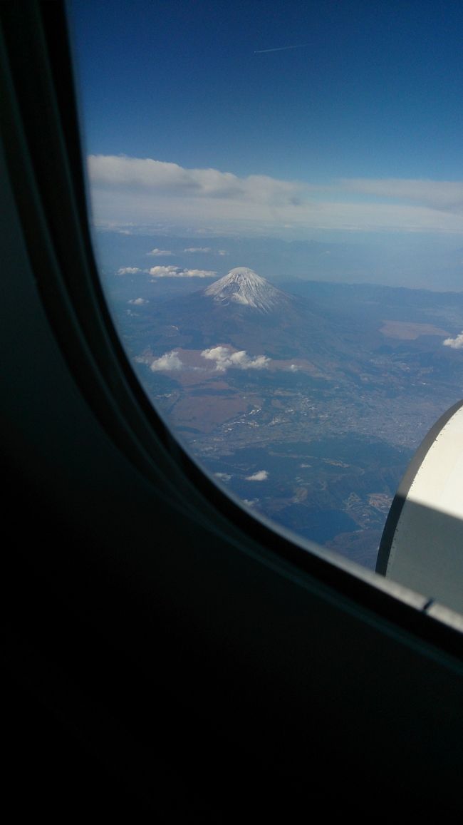 羽田空港到着。<br />荷物を受け取り再度国内線乗り継ぎカウンターへ。<br />国内線乗り継ぎの方が多くて待ちました。<br />手続きをして手荷物検査。<br />バスにて国内線乗り場へ。<br />国内線飛行機に乗り綺麗な富士山を見て無事家に着きシンガポールの旅が終了。<br />ナイトサファリ行けなかったり、マリーナベイサンズに今度は泊まりたいという目標ができたのでまたシンガポール行きたいです。<br />子供連れにも優しいシンガポールでした。