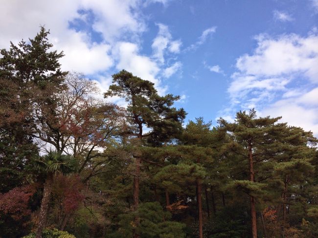 奈良は市内でも自然がいっぱい。