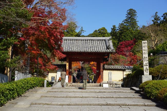 紅葉のちょい山歩き関西三日間 二日目 楠木正成の地元 金剛山に観心寺から西行の寺 弘川寺は紅葉まっさかり 富田林の寺内町はおまけです 河内長野 大阪 の旅行記 ブログ By たびたびさん フォートラベル