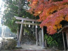 11/20　松江　神魂神社