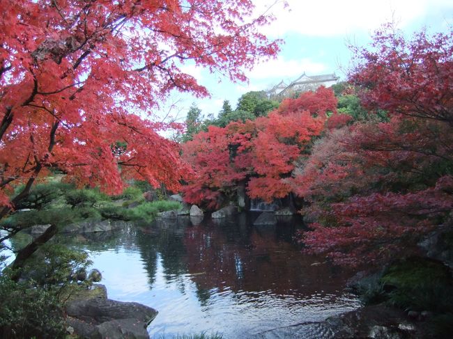 好古園から姫路城を望む