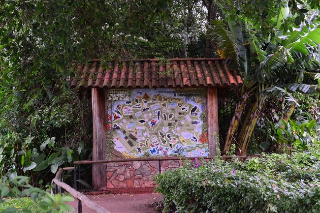 8:30開園と聞いて早めに行きました。