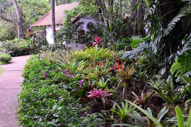 ここでは檻の中に放し飼いにされている鳥もおおいのですが、そのための仕切の扉が多く、人が少ない時間は進路を少し迷いました。